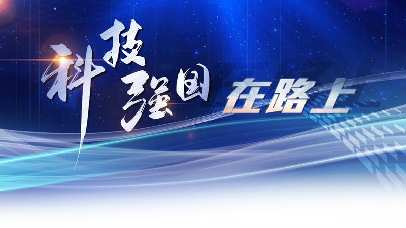 企业数据安全解决方案：如何构建坚实防线